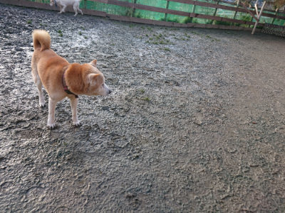 f:id:roukenhome-ann:20190219082236j:plain