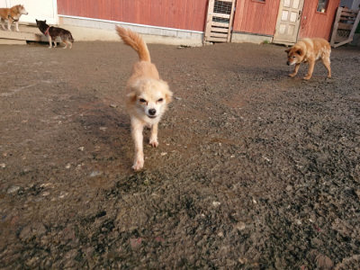 f:id:roukenhome-ann:20190219082411j:plain