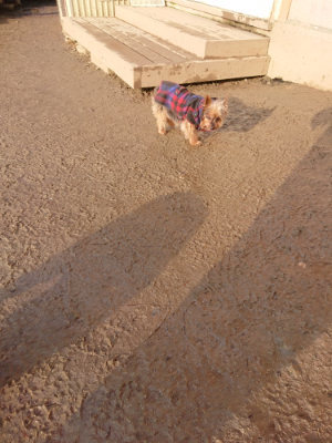 f:id:roukenhome-ann:20190219082418j:plain