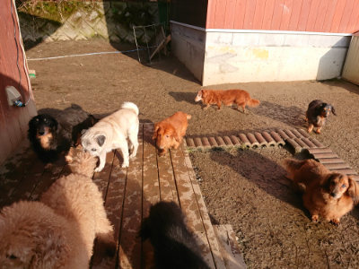 f:id:roukenhome-ann:20190219082423j:plain