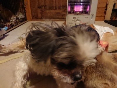 f:id:roukenhome-ann:20190219082433j:plain