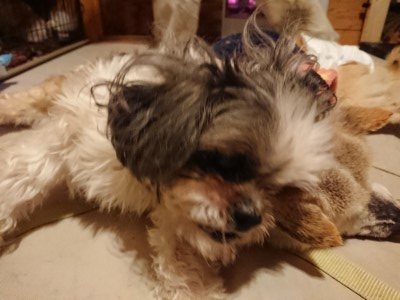 f:id:roukenhome-ann:20190219082439j:plain