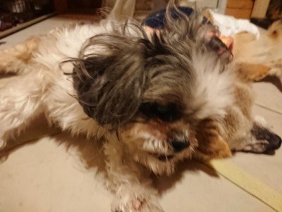 f:id:roukenhome-ann:20190219082443j:plain