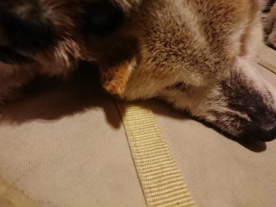 f:id:roukenhome-ann:20190219082447j:plain