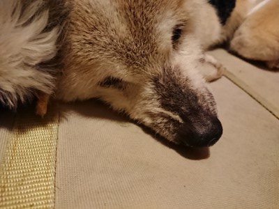 f:id:roukenhome-ann:20190219082502j:plain