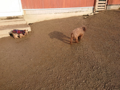 f:id:roukenhome-ann:20190219082521j:plain