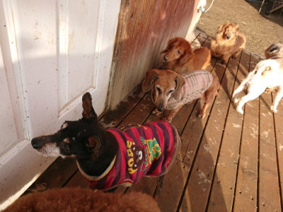 f:id:roukenhome-ann:20190219082537j:plain