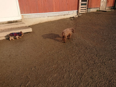 f:id:roukenhome-ann:20190219082552j:plain