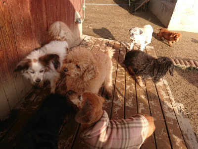 f:id:roukenhome-ann:20190219082558j:plain