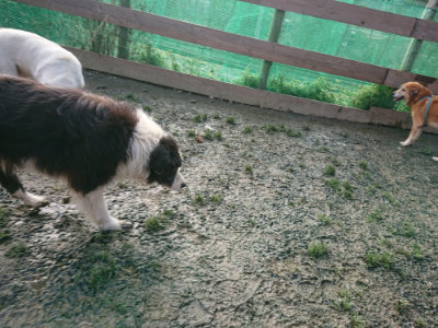 f:id:roukenhome-ann:20190219082605j:plain