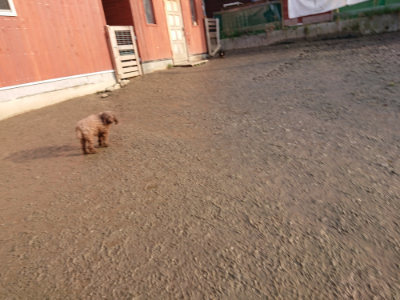 f:id:roukenhome-ann:20190219082615j:plain