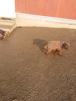 f:id:roukenhome-ann:20190219082625j:plain