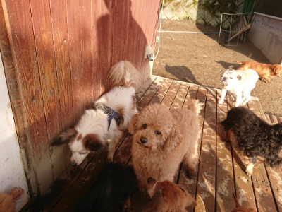 f:id:roukenhome-ann:20190219082635j:plain