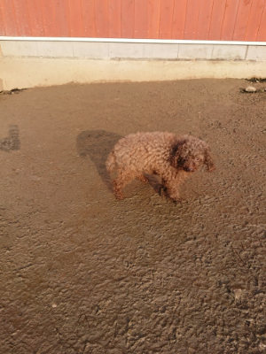 f:id:roukenhome-ann:20190219082713j:plain