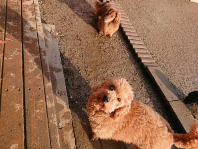 f:id:roukenhome-ann:20190219082719j:plain