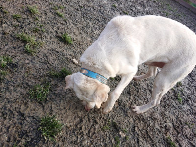 f:id:roukenhome-ann:20190219082725j:plain