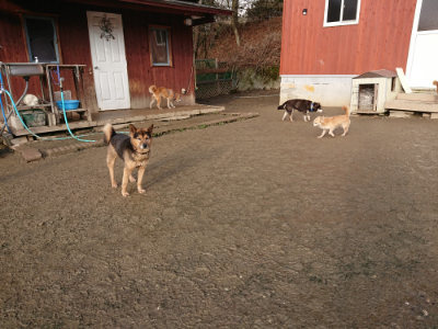 f:id:roukenhome-ann:20190219082729j:plain