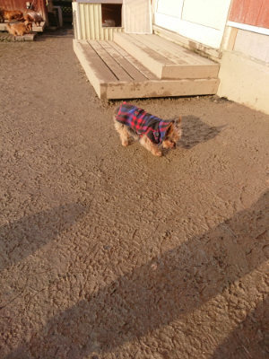 f:id:roukenhome-ann:20190219082740j:plain