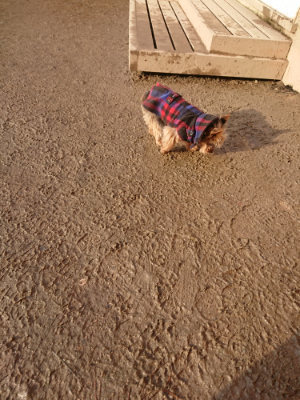 f:id:roukenhome-ann:20190219082745j:plain