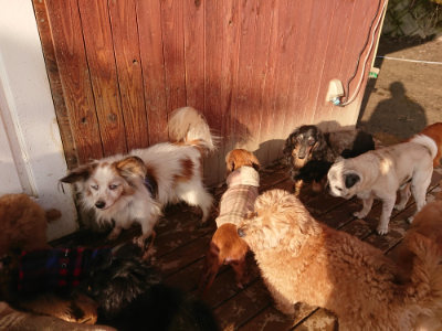 f:id:roukenhome-ann:20190219082756j:plain