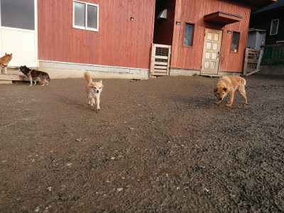 f:id:roukenhome-ann:20190219082930j:plain