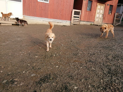 f:id:roukenhome-ann:20190219082935j:plain