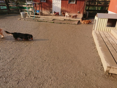f:id:roukenhome-ann:20190219082951j:plain