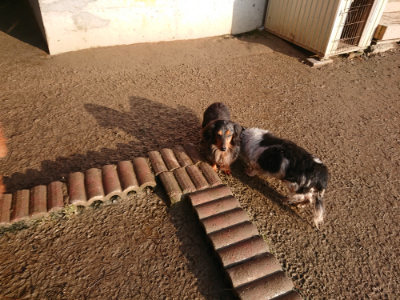 f:id:roukenhome-ann:20190219082957j:plain