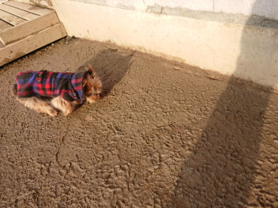 f:id:roukenhome-ann:20190219083016j:plain