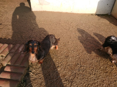 f:id:roukenhome-ann:20190219083046j:plain