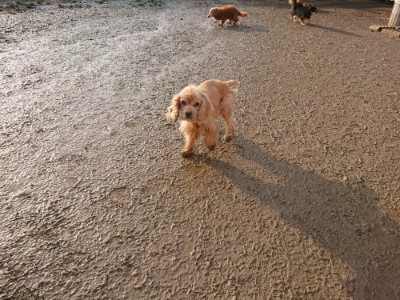 f:id:roukenhome-ann:20190219083109j:plain