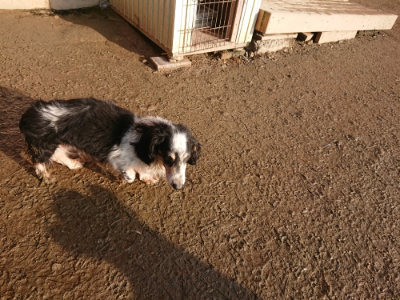 f:id:roukenhome-ann:20190219083120j:plain