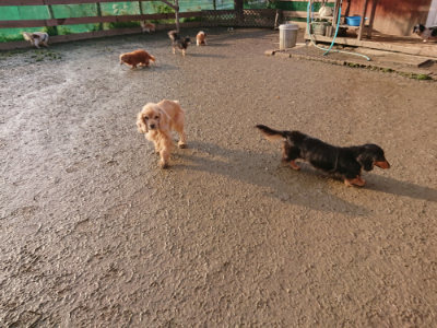 f:id:roukenhome-ann:20190219083131j:plain