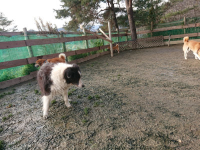f:id:roukenhome-ann:20190219083147j:plain