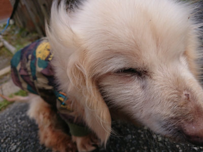 f:id:roukenhome-ann:20190219083203j:plain