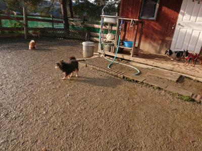 f:id:roukenhome-ann:20190219083208j:plain