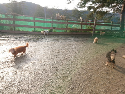 f:id:roukenhome-ann:20190219083214j:plain