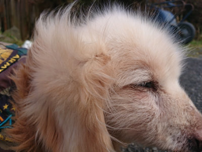 f:id:roukenhome-ann:20190219083230j:plain