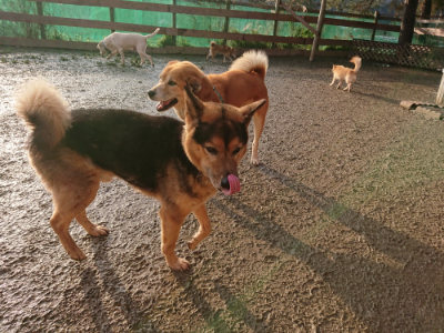f:id:roukenhome-ann:20190219083455j:plain