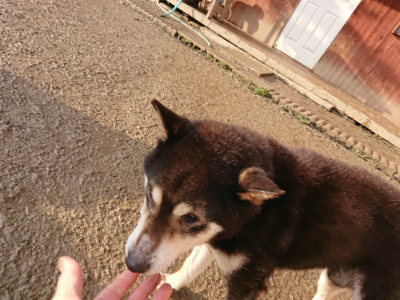 f:id:roukenhome-ann:20190219083501j:plain