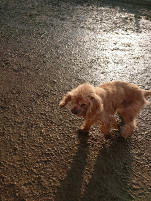 f:id:roukenhome-ann:20190219083533j:plain