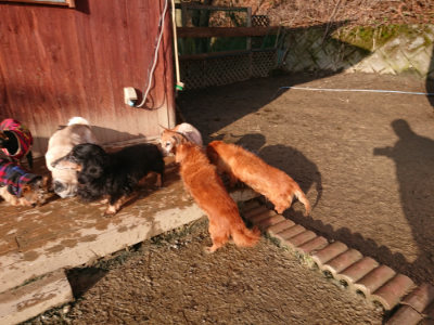 f:id:roukenhome-ann:20190219083538j:plain