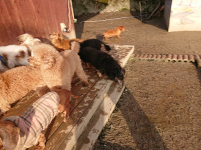 f:id:roukenhome-ann:20190219083552j:plain