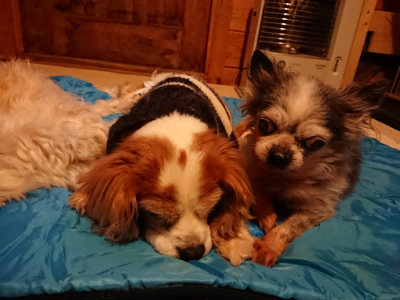 f:id:roukenhome-ann:20190222074848j:plain