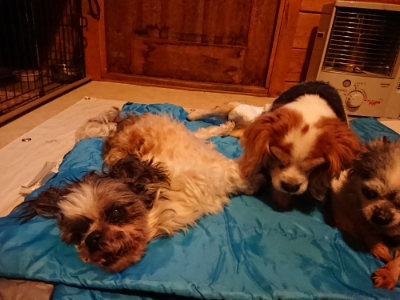 f:id:roukenhome-ann:20190222074854j:plain