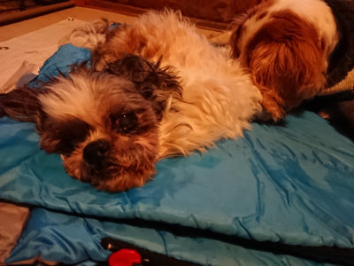 f:id:roukenhome-ann:20190222074900j:plain