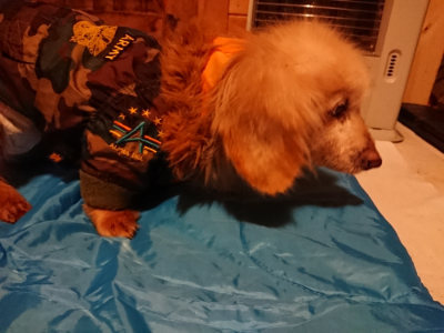 f:id:roukenhome-ann:20190222074928j:plain