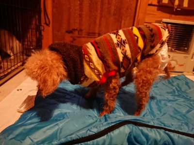 f:id:roukenhome-ann:20190222074945j:plain