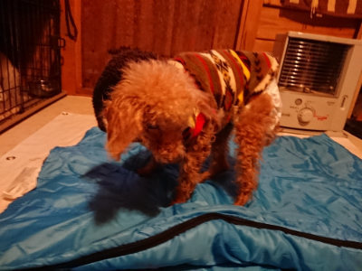f:id:roukenhome-ann:20190222074950j:plain