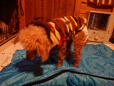 f:id:roukenhome-ann:20190222075006j:plain